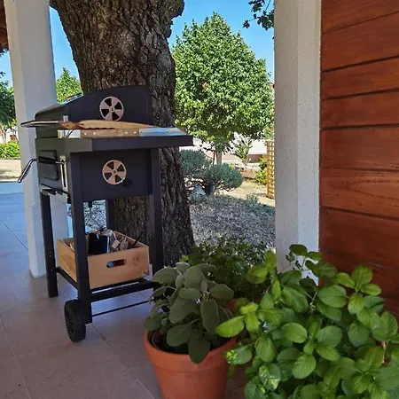 Luce Pićan